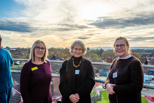 Wilson BSB Opening Fundraising